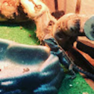 Meet your Posher, Evan